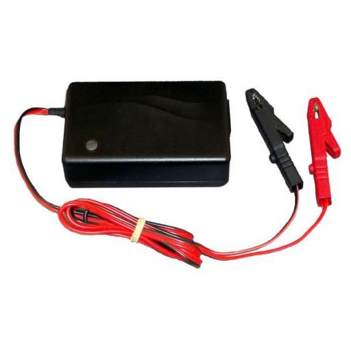 12V 2A Charger for Lithium Batteries